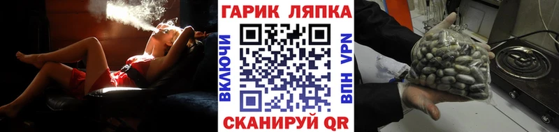 ГАШ ice o lator  Чекалин 