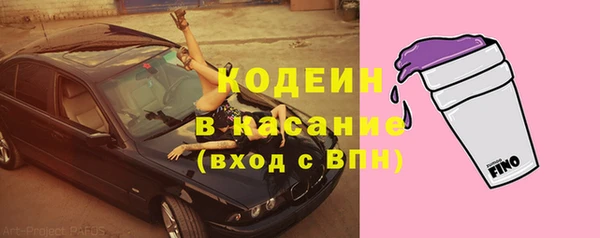 шишки Баксан