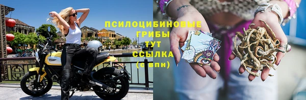 прущая мука Медвежьегорск
