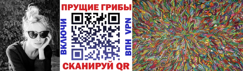 Галлюциногенные грибы Psilocybine cubensis  закладка  Чекалин 